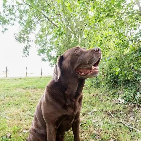 Au Pied Du Frene Фермерский дом *