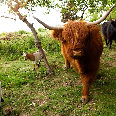 Au Pied Du Frene Фермерский дом *