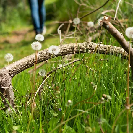 Au Pied Du Frene Фермерский дом Herzeele